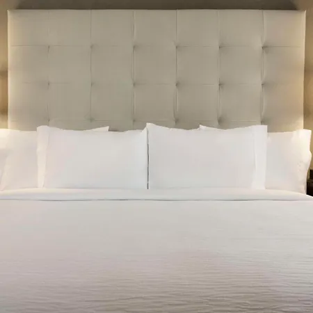 Embassy Suites By Hilton Greenville Downtown Riverplace-3