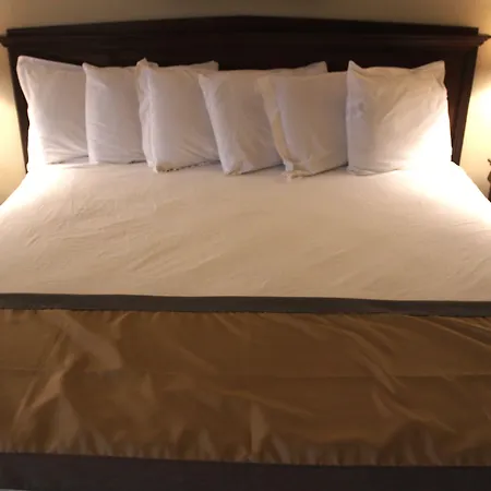 Greenville Inn & Suites-2
